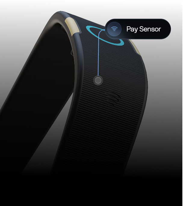 Payment sensor visualization
